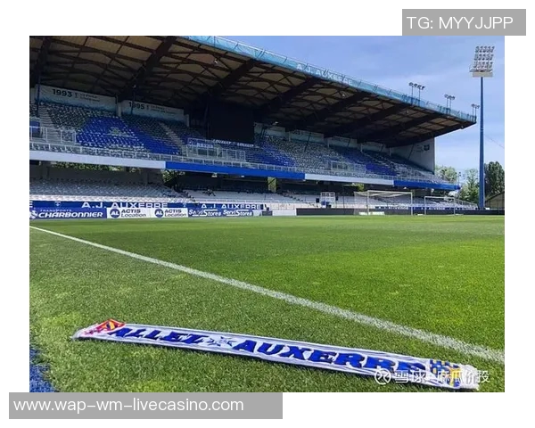 欧塞尔足球俱乐部的辉煌历史与未来发展展望分析