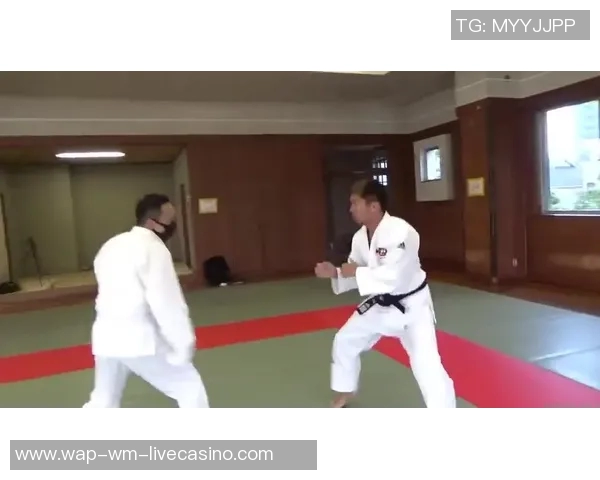 拳击与柔道的对决：力量与技巧的巅峰碰撞与思考